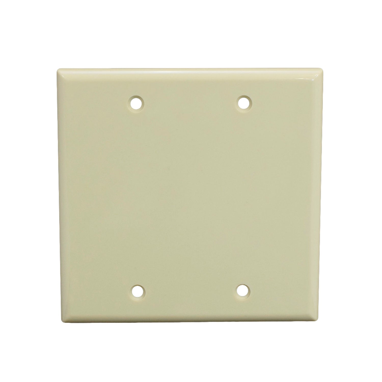 Double Gang Blank Faceplate