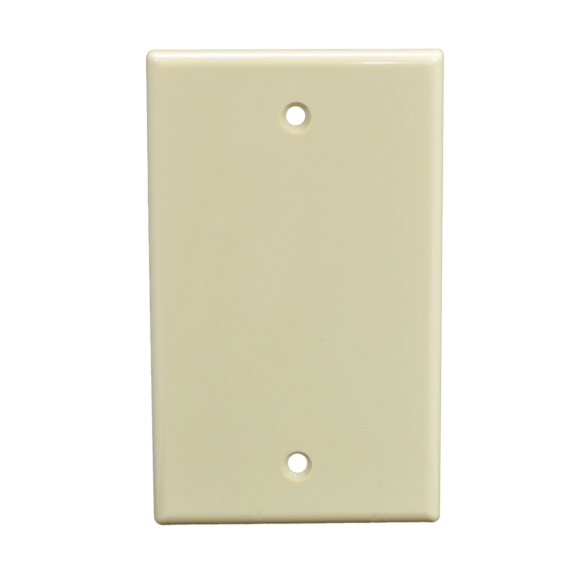 Single Gang Blank Faceplate