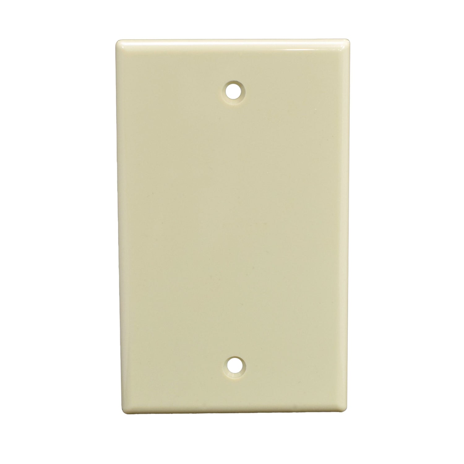 Single Gang Blank Faceplate