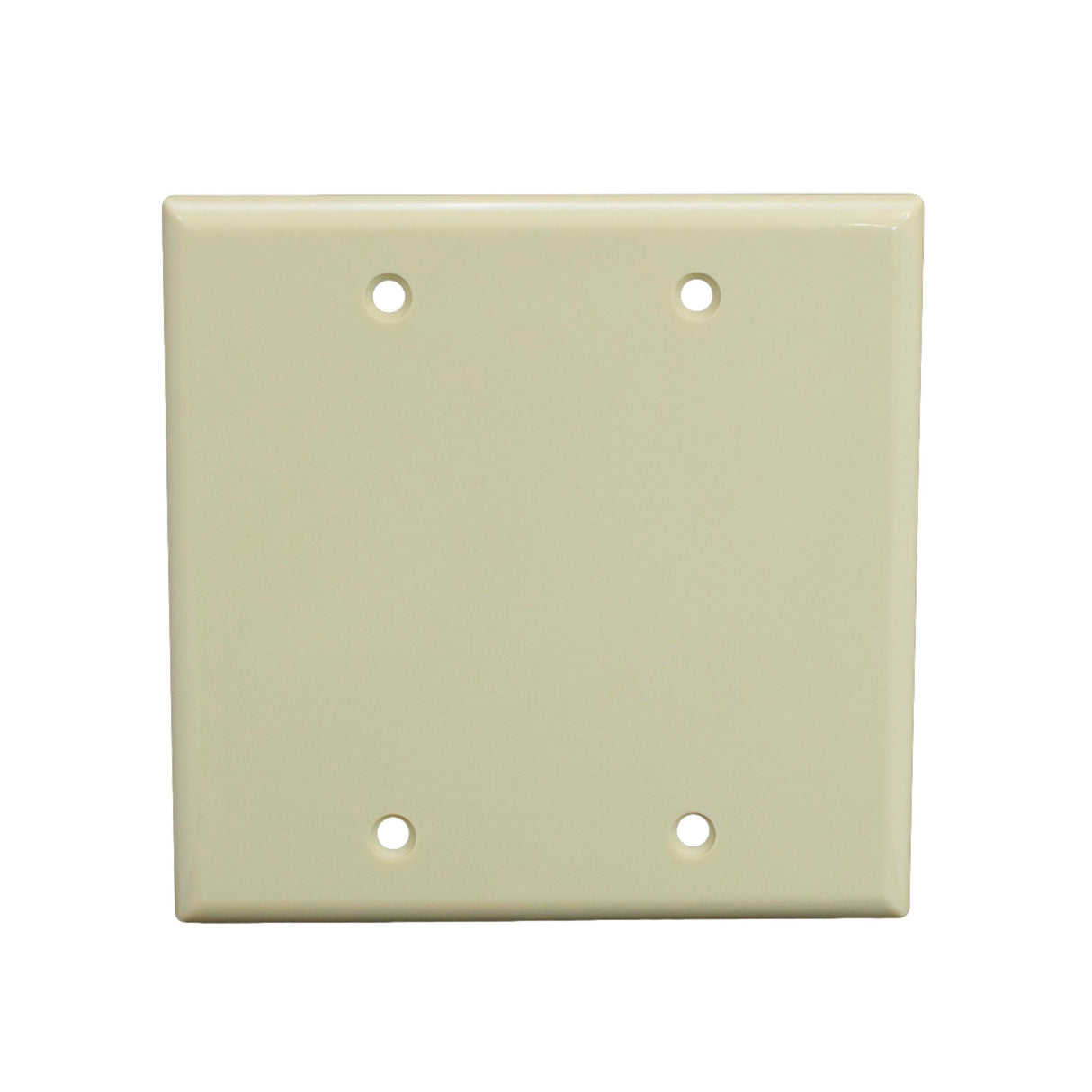 Double Gang Blank Faceplate