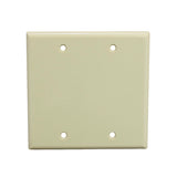 Double Gang Blank Faceplate