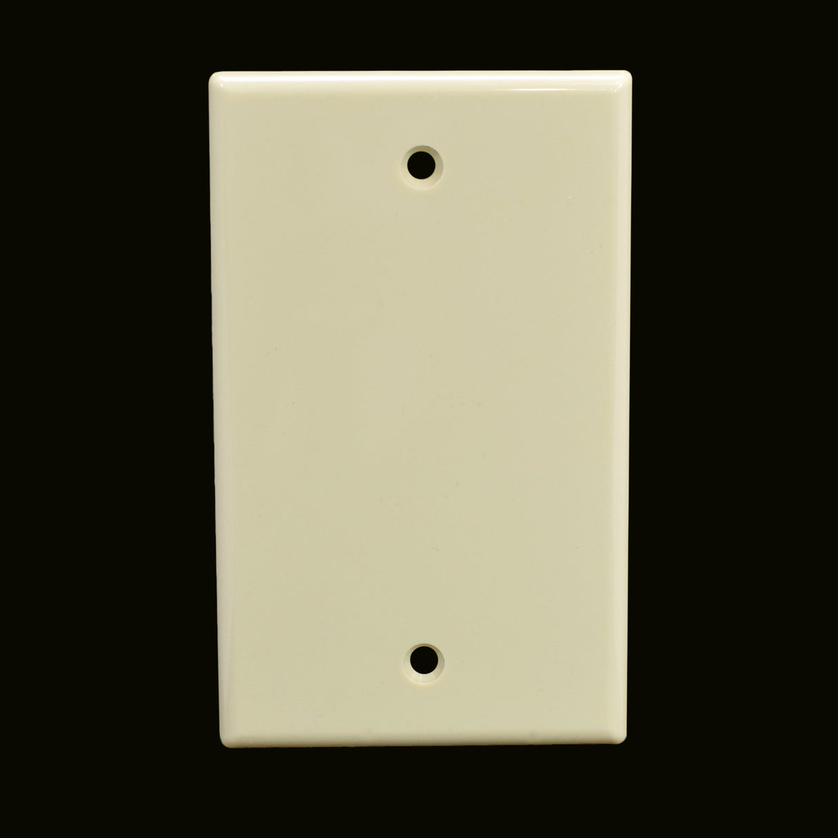 Single Gang Blank Faceplate