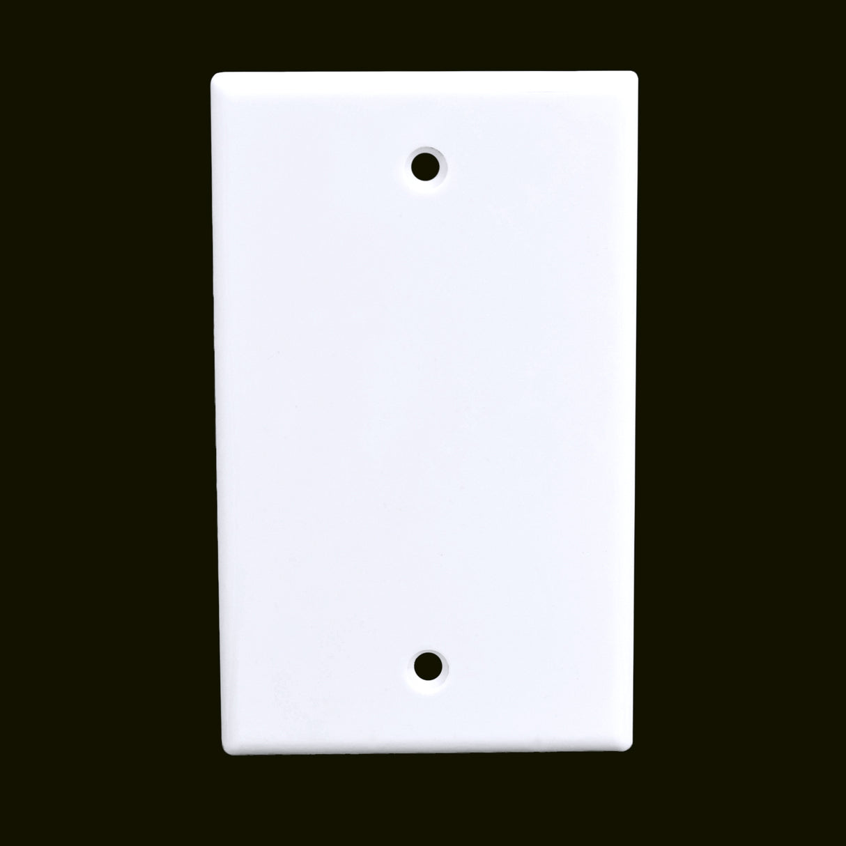 Single Gang Blank Faceplate