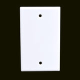 Single Gang Blank Faceplate
